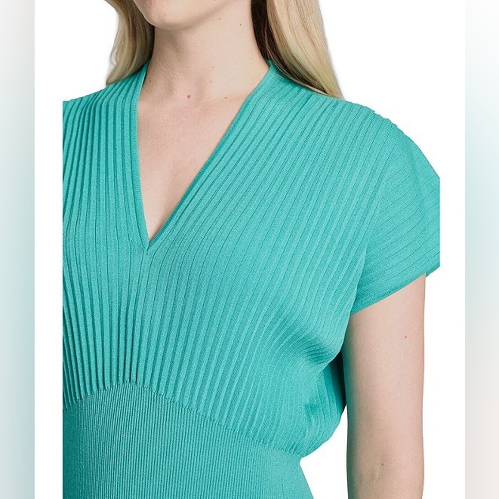 NWT Ming Wang Tanya Foster Ribbed Knit V-Neck Fit and Flare Dress - Picture 3 of 4